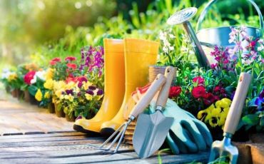 Gardening Essentials At Hoselink You Must Need